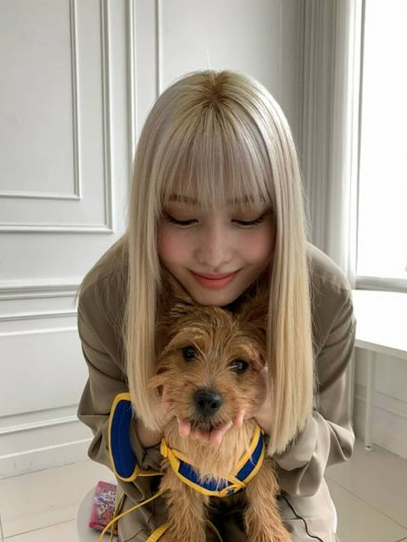 Twiceモモの愛犬ブーが可愛すぎる ブーの可愛すぎる画像集 エンスタグラム 音楽 芸能情報サイト