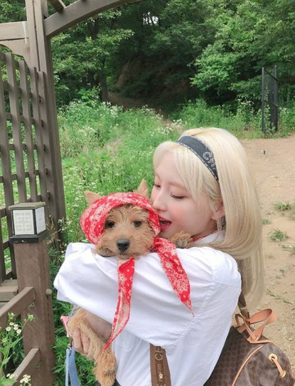Twiceモモの愛犬ブーが可愛すぎる ブーの可愛すぎる画像集