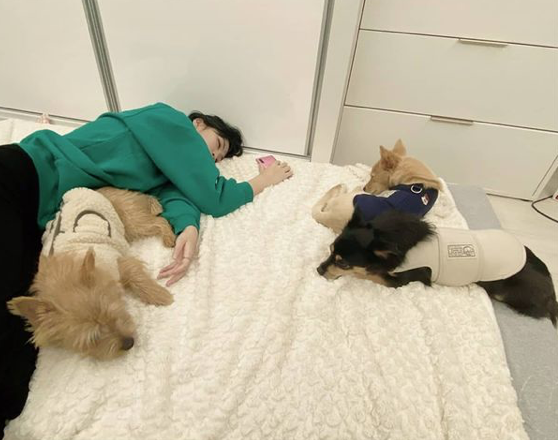 Twiceモモは赤ちゃん モモ ツウィの愛犬と眠るモモの寝顔が天使すぎると話題 エンスタグラム 音楽 芸能情報サイト