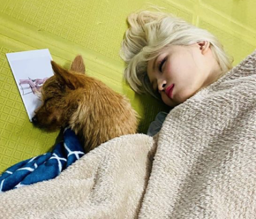Twiceモモは赤ちゃん モモ ツウィの愛犬と眠るモモの寝顔が天使すぎると話題 エンスタグラム 音楽 芸能情報サイト