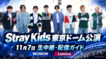 Stray Kids東京ドーム公演はどこで見れる？11月7日WOWOW・Lemino生中継の料金と注意点