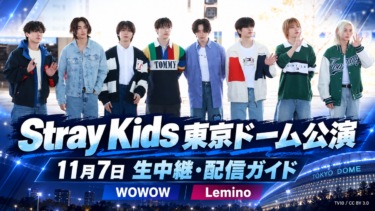 Stray Kids東京ドーム公演はどこで見れる？11月7日WOWOW・Lemino生中継の料金と注意点
